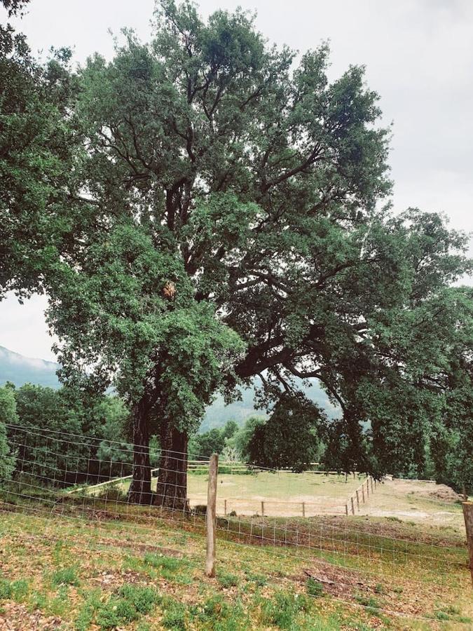 Refúgio do Sobreiro Cabeceiras de Basto Exterior foto